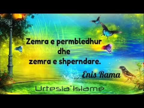 Zemra e përmbledhur dhe zemra e shpërndarë - Enis Rama