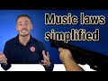 YouTube music copyright laws simplified - Even an idiot could understand
