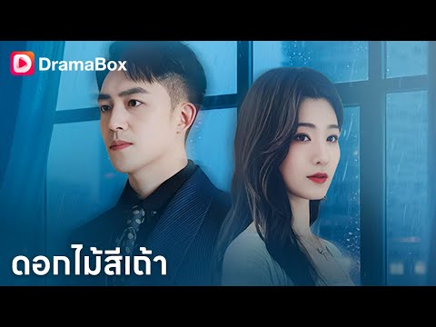 💢ลืมเขาแล้วก็เลิกทิ้ง! เมื่อภรรยาที่เคยตามหวัง กลายเป็นคนใหม่ที่เขาต้องไล่ตาม | Dramabox
