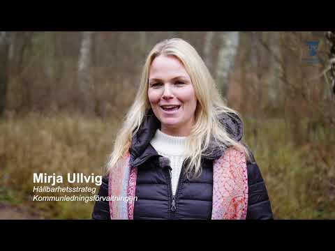 Trelleborgs kommun   hållbar utveckling