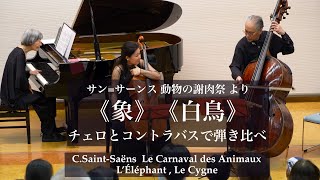 Download lagu サン=サーンス《象》《白鳥》チェロとコントラバスで弾き比べ mp3