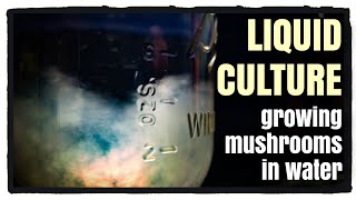 Liquid Culture: Mushrooms Grown in Water with Instant Pot