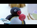 Best Of Pingu Part 1 Pingu Official Channel Cartoons For Kids