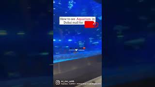 Download lagu Dubai Aquarium for free | Dubai Aquarium and underwater zoo | Dubai Aquarium Shark | Tourist Place mp3 Download lagu Dubai Aquarium for free | Dubai Aquarium and underwater zoo | Dubai Aquarium Shark | Tourist Place mp3