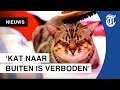 ‘Raar als kat niet meer vrij naar buiten mag’
