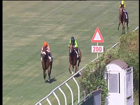 Galoppo 08/06/2018 - 1ª corsa