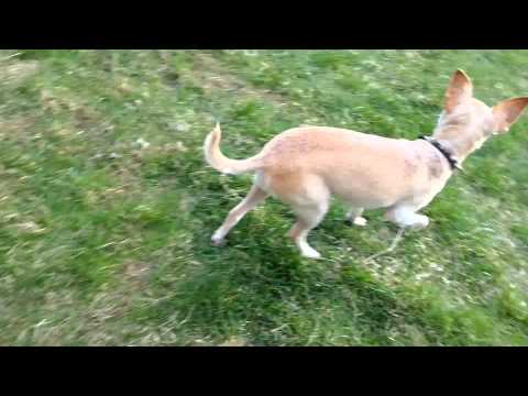 Yusha is finally at her goal weight!