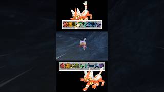 放置してるだけで色違いニャビーが手に入るw 【#ポケモンsv 】