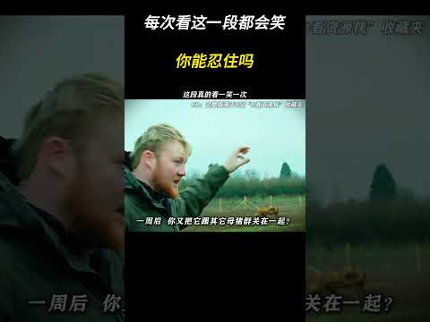 每次看这一段都会笑，你能忍住吗？