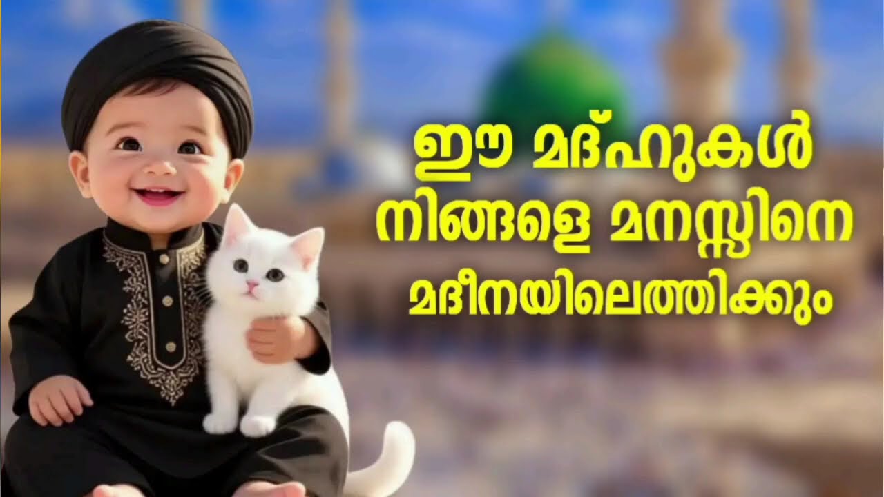 നബിയെ കുറിച്ചുള്ള കിടിലൻ മദ്ഹ് ഗാനങ്ങൾ New Madh Song Selected Madh Nonst