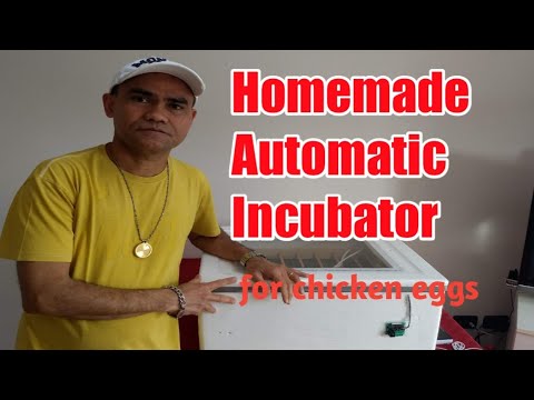 HOMEMADE AUTOMATIC INCUBATOR /HOW TO MAKE AN EGG INCUBATOR/ FOR CHICKEN EGGS/PAANO GUMAWA NG INCUB.