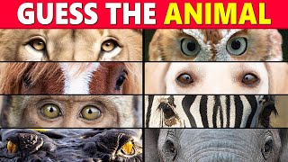 Guess the Animal by Eyes 👀 Animal Quiz 🦁🐨🦉