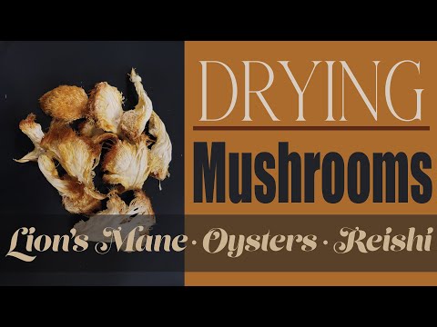 Drying Mushrooms