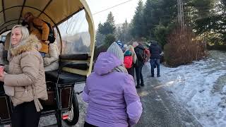 Kulig Targanice 17.01.2026r