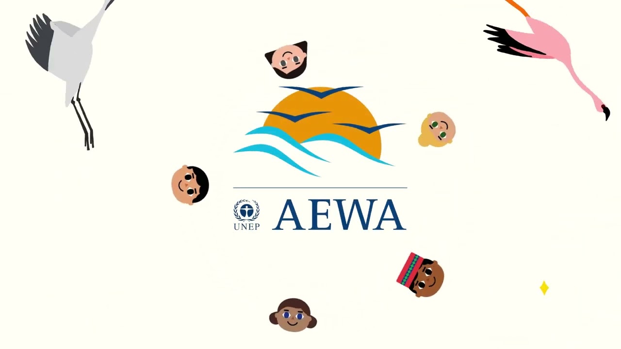 Célébration des 30 ans de l'AEWA : L'accord sur les oiseaux d'eau d'Afrique-Eurasie