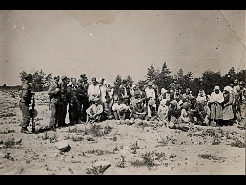 Plunder and Loot during the Holocaust:  A Few Thoughts on Jan Gross's Golden Harvest