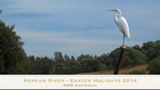 preview picture of video 'Kayak Nepean Hawksbury River North Richmond'