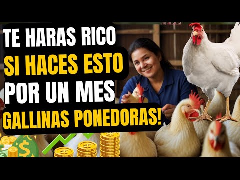 , title : '🐔📊como ganar dinero con gallinas ponedoras desde cero invierte negocio rentable🐔📊'