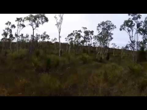 Yowie Trip - Glass House Mountains