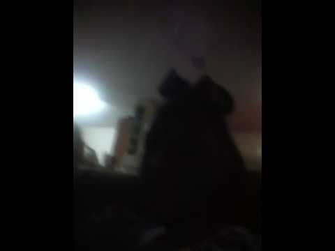 The return of Lilly D