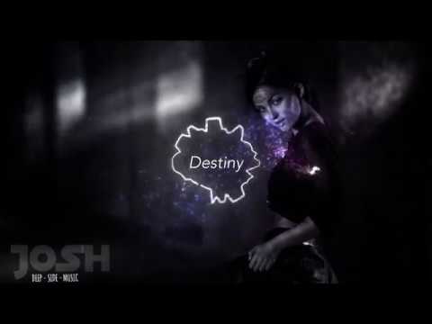 Destiny - [ Lyrics ] Markus Schulz ft. Delacey