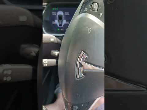 Tesla Model X 100D 7 seater - Image 2