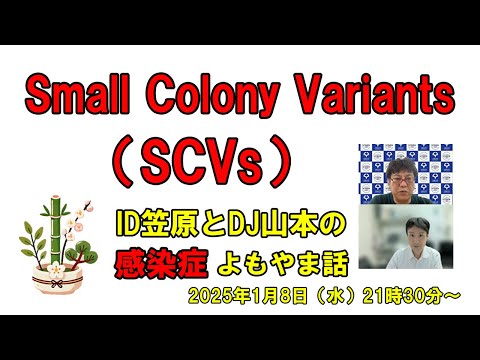 看護学科 Small Colony Variants (SCV)とは？