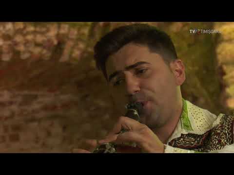 BANDA lui Remus NOVAC - suitã instrumentalã din Banatul de pustã