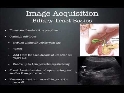 Basic Biliary Ultrasound