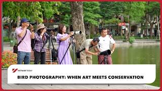 Bird photography: When art meets conservation | Vietnam Today