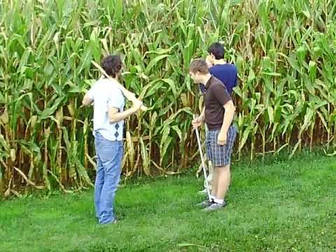 Hercules and the Amazons