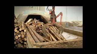 Как производят бумагу Как производят бумагу
