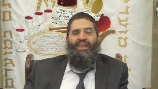 הרב - אופיר טנג'י - מוסר בפרשה- פרשת ניצבים- וילך