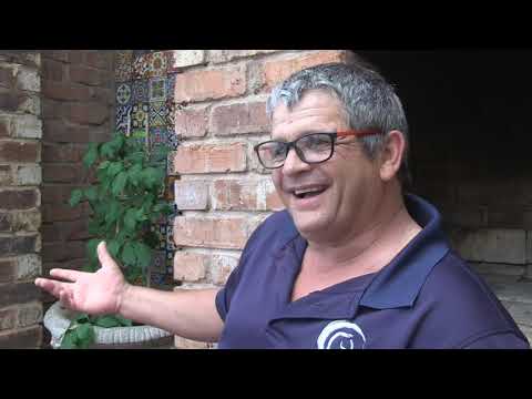 BULLS EYE SUMMER DISCUSSION STRIKER AND MANNE