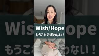 WishとHopeの違い！もうこれで迷わない、決定的な使い分けルールを解説