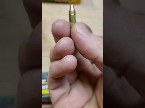 Remington Ranch Hand 22LR Ammo Review