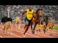 1 Mile Race Cheetah Vs Usain Bolt Vs Wildebeest Vs Ostrich Vs Horse Vs Pronghorn Antelope