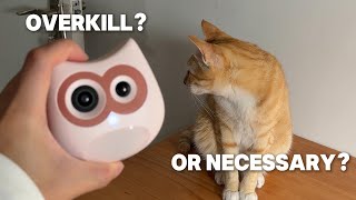 I Installed a Camera in the Litter Box Here’s Why | SiiPet LitterLens