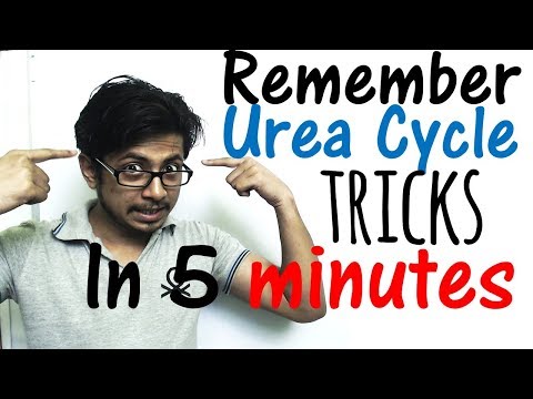 Urea cycle easy steps and tricks | Mnemonics to learn urea cycle in just 5 minutes!