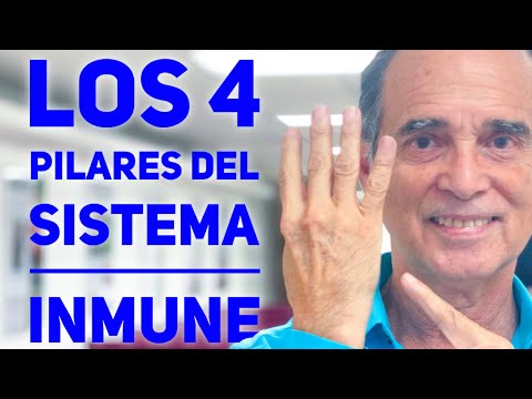 Los 4 Pilares Del Sistema Inmune