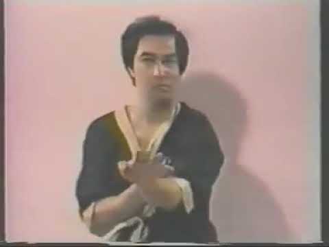 Wing Chun Archives GM Leung Ting performing The Biu Tze