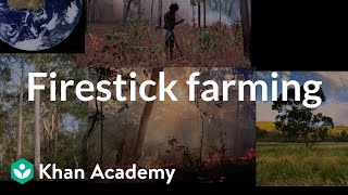 Firestick Farming