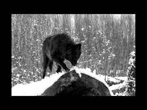 Kony x Gruby Józek x ka-meal - Styczeń