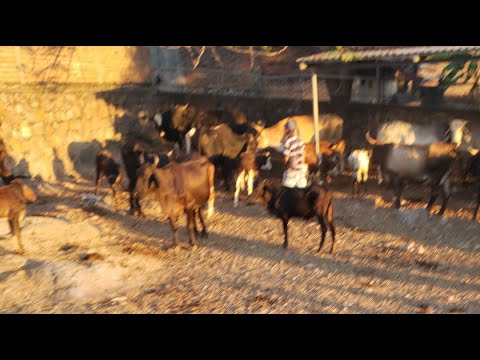 Santa Rosa de Lima, La Unión, El Salvador, sábado 13 de diciembre 2025