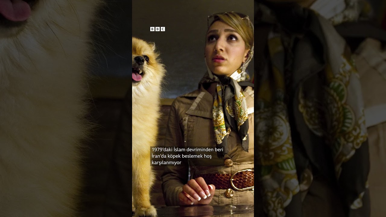 İran'da köpek gezdirme yasağı