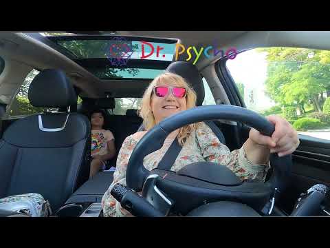 Școala din mașină episodul 11 Ordonare alfabetică