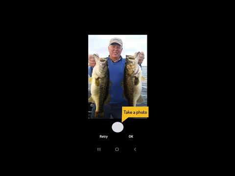 Winning Fishing  Pro - FREE ap Video