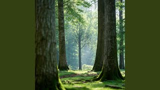 Download lagu Senyum Menjadi Cahaya mp3