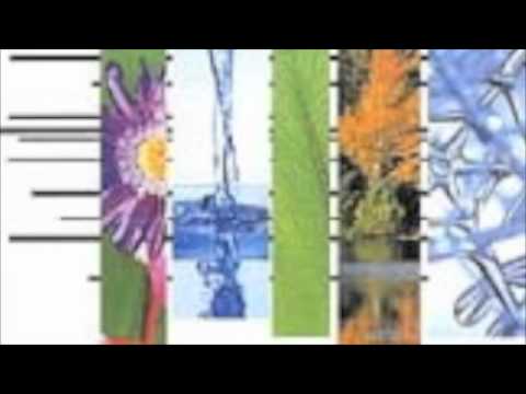 Noel W. Sanger Feat. Nicole Henry - Miracle