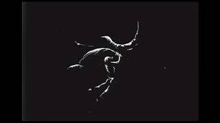 LO KI - Kwahisein | OFFICIAL VISUALIZER | HINDI RA